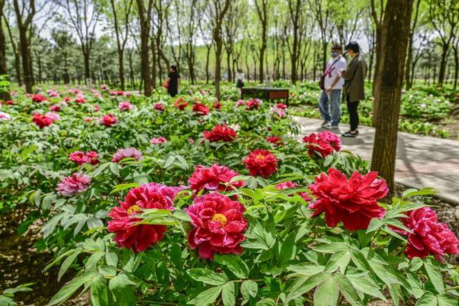 2：三大+书市+特色小镇打卡文旅新地标CQ9电子网站120小时玩转副中心-(图3)