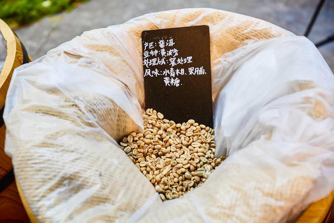 体验咖啡文化深入了解背后的文化故事CQ9电子有限公司普洱北归咖啡庄园(图2)