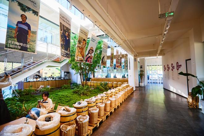 体验咖啡文化深入了解背后的文化故事CQ9电子有限公司普洱北归咖啡庄园(图7)