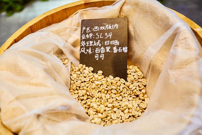 体验咖啡文化深入了解背后的文化故事CQ9电子有限公司普洱北归咖啡庄园(图8)